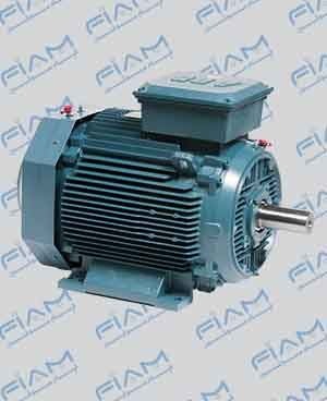 الکتروموتور TEFC معمولی (AC)